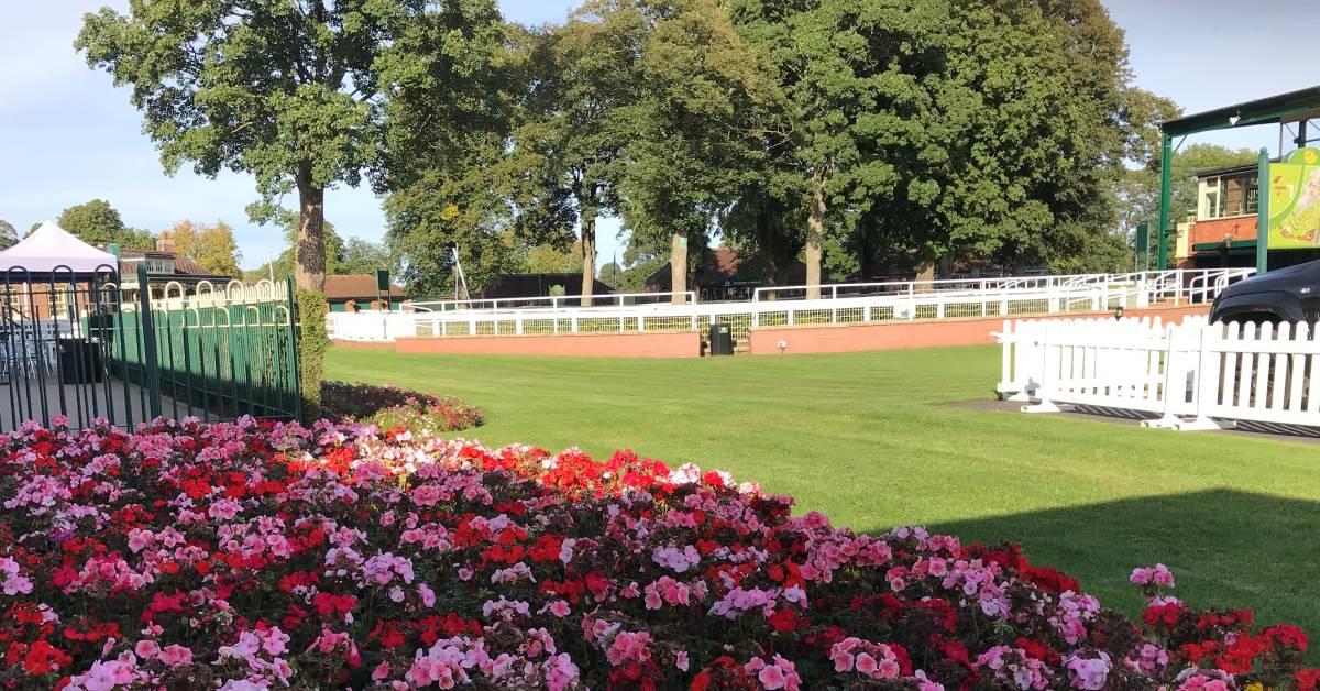 Photo of the Ripon Racecourse Paddock